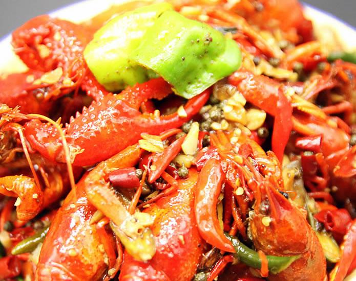 朱火火龙虾壹号